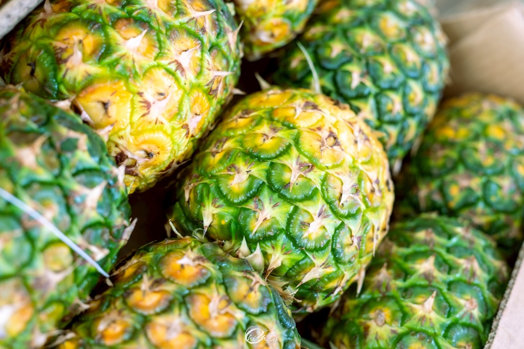 パイナップル加工の様子